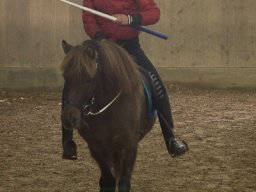 img_3892_web